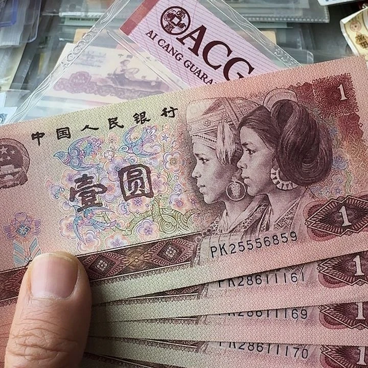 全新的8个……………………全新豹子身……