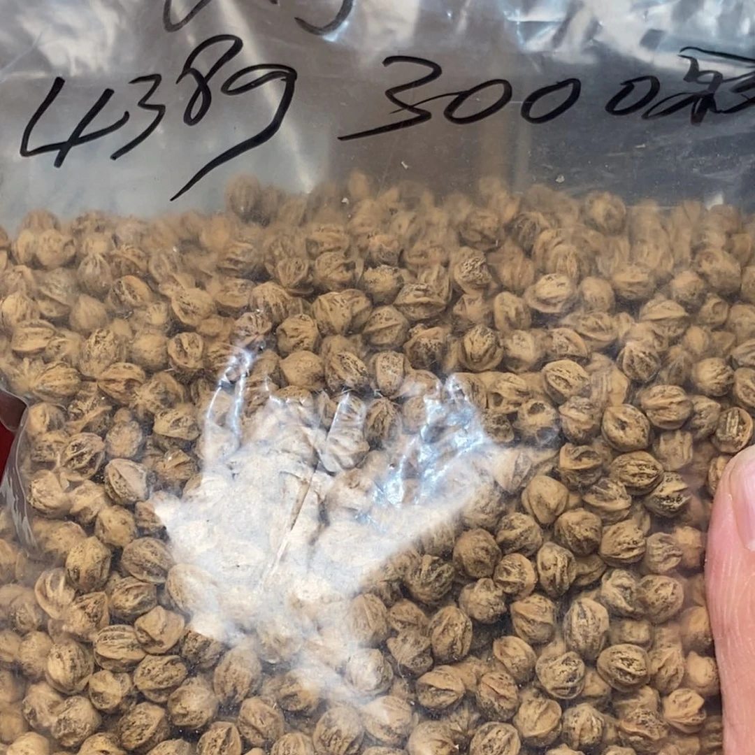 柏香籽/百香籽吊坠B****定