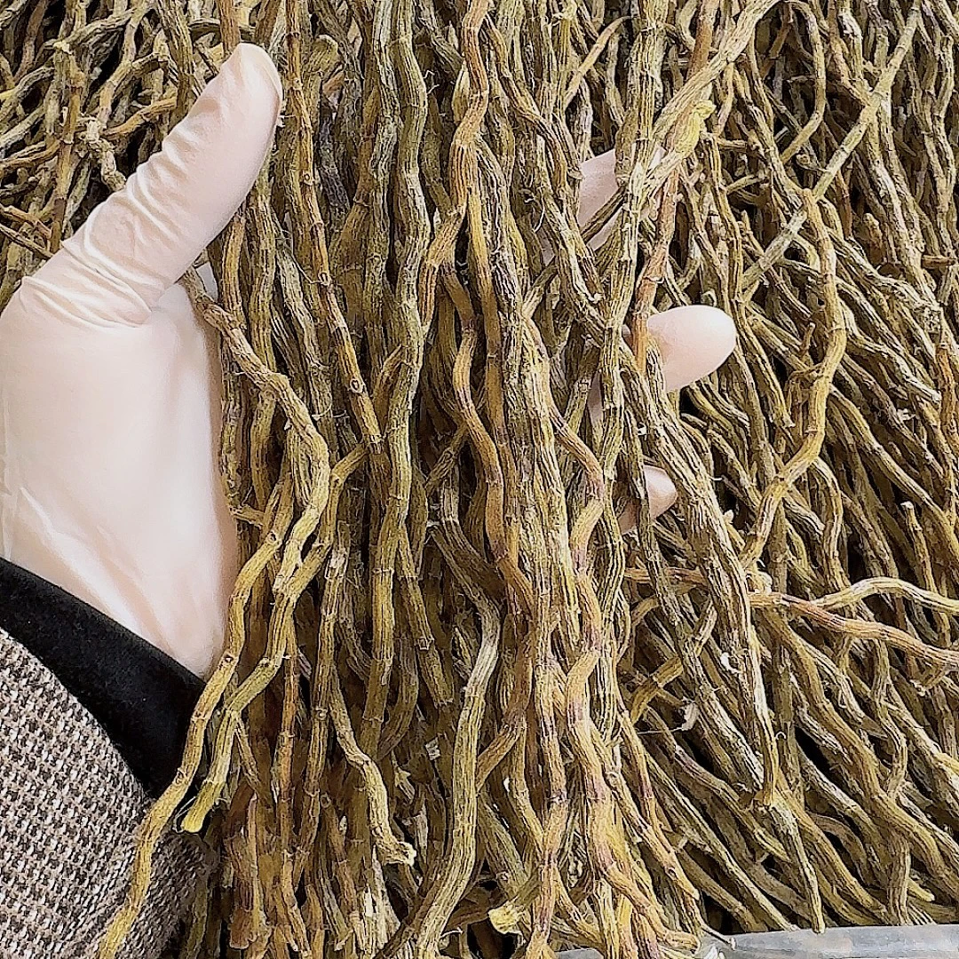 粉丝特惠 雁荡山铁皮石斛中条 可代打粉 泡水煲汤煮水滋补养生