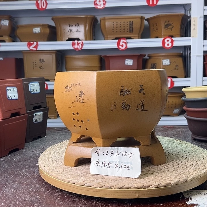 紫砂花盆蛇年大吉