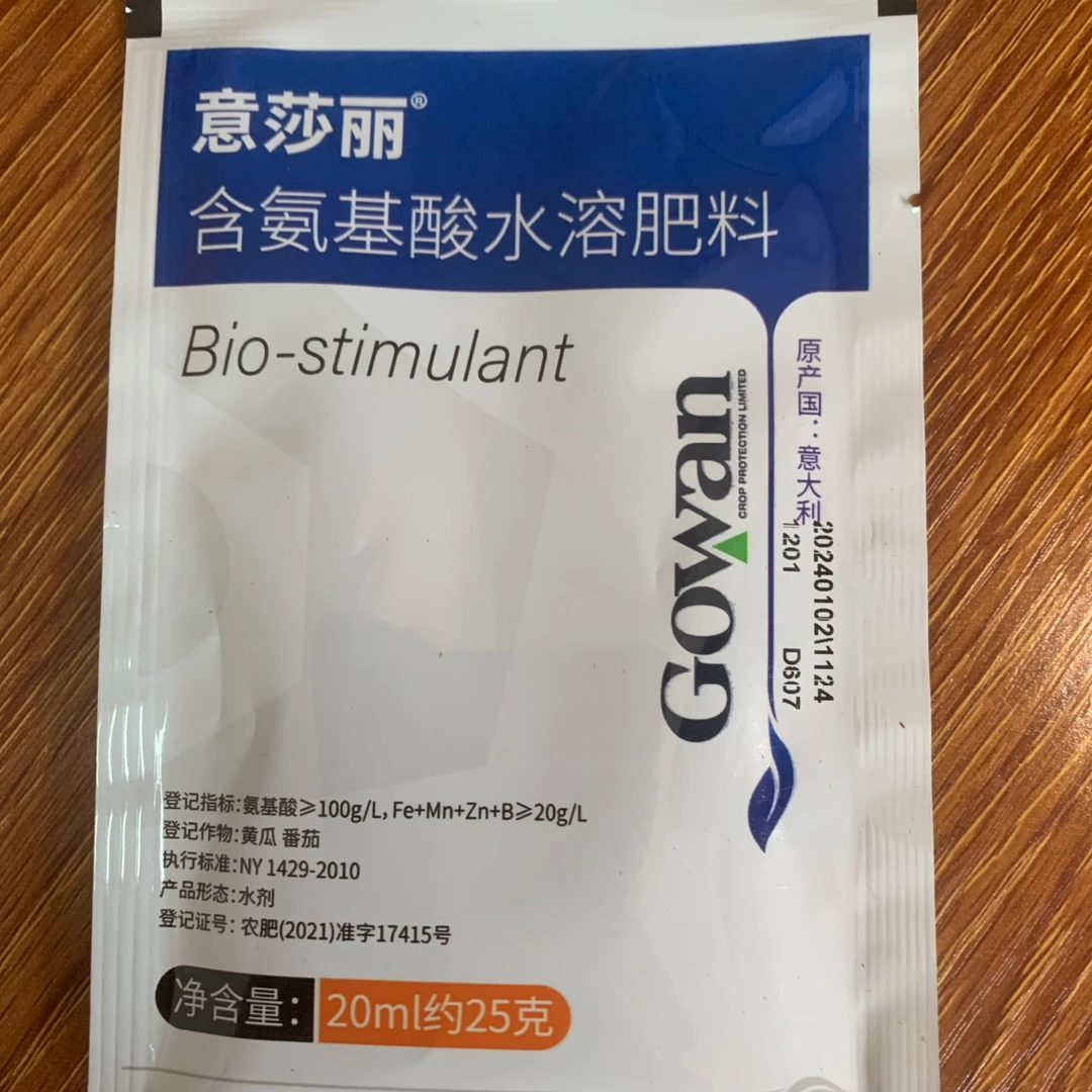 【1号意莎丽】茉莉花延长花期花大花白