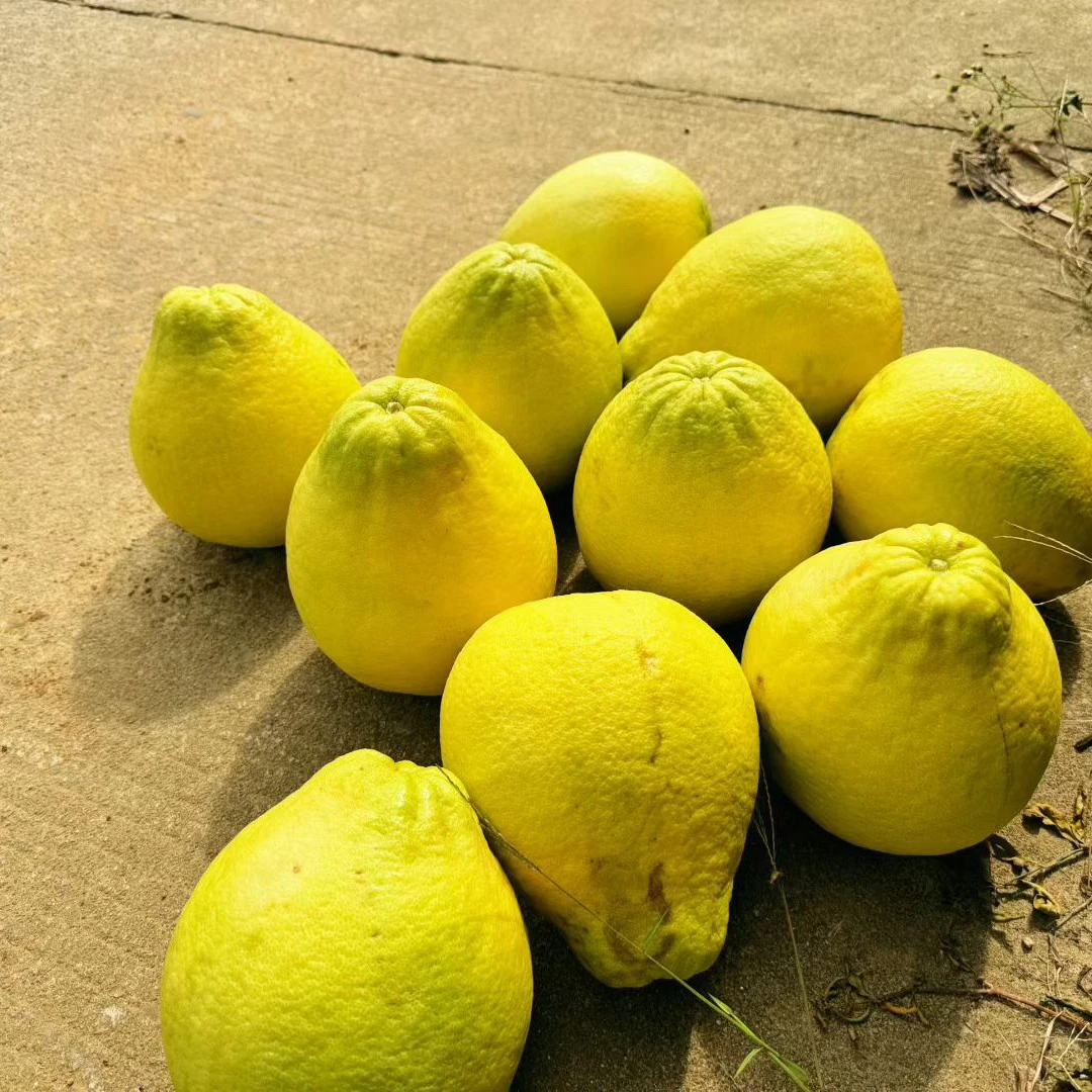 湖南永州特产江永香柚 纯甜无酸 口感爆棚 超级好吃