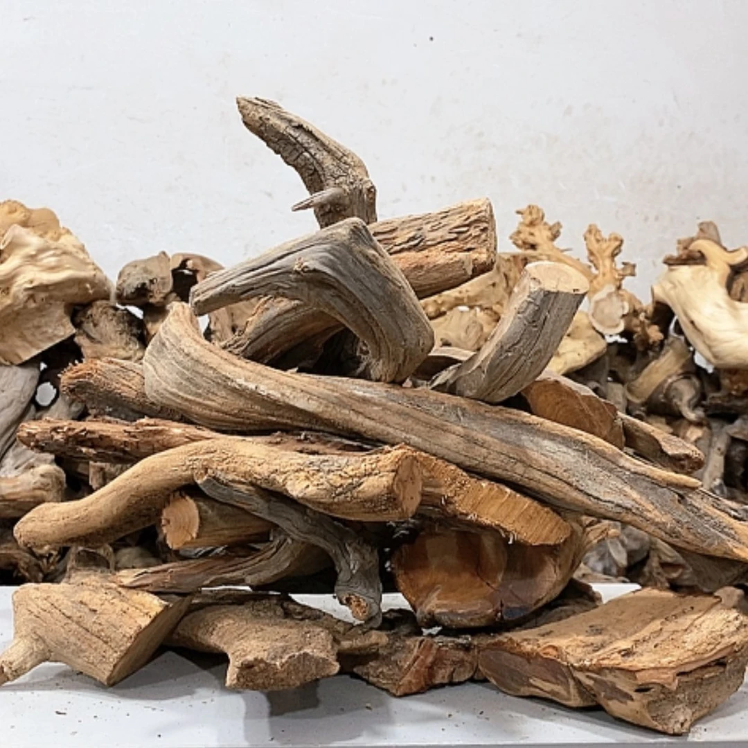 【闪购商品】柏木财**爷我们都是好孩子啊