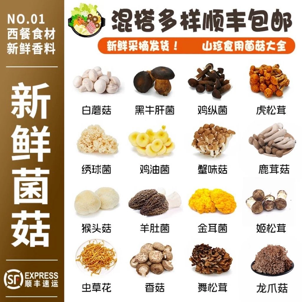 云南贵州新鲜菌菇组合含牛肝菌姬松茸猪肚菌等适合煲汤火锅养生