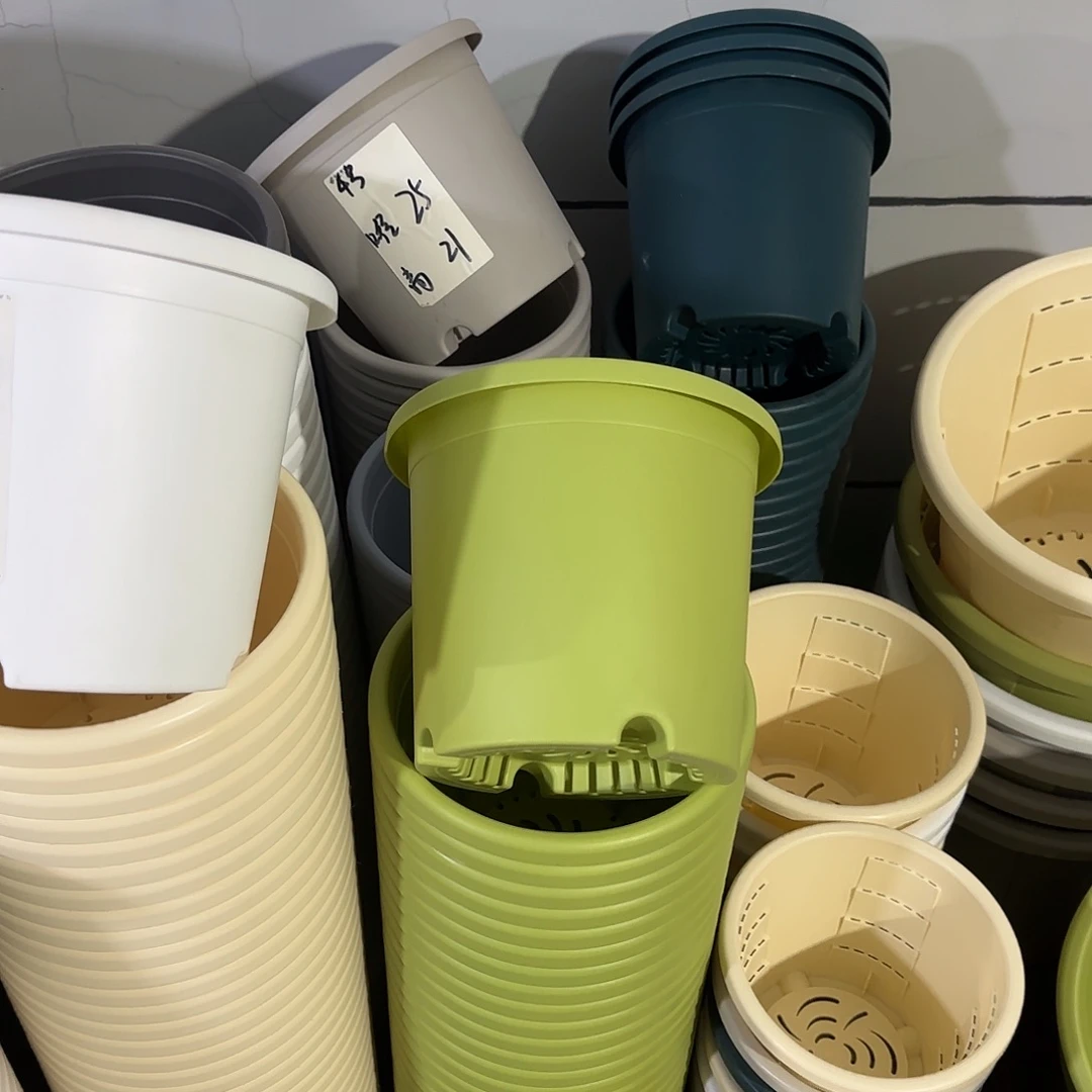 微瑕4号8个无托，果绿