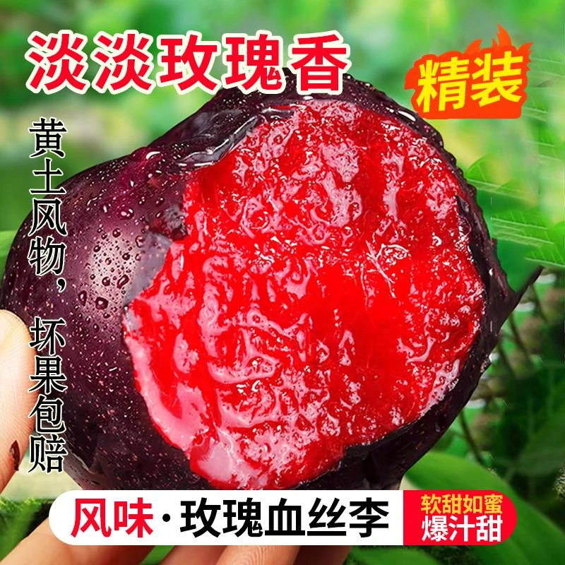 河南应季风味玫瑰血丝李红心李子时令水果黑布林红肉恐龙蛋味帝李