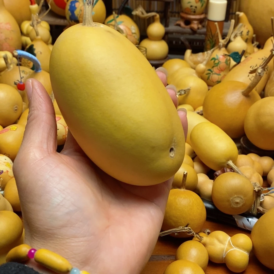 嘉*?葫芦葫芦葫芦葫芦