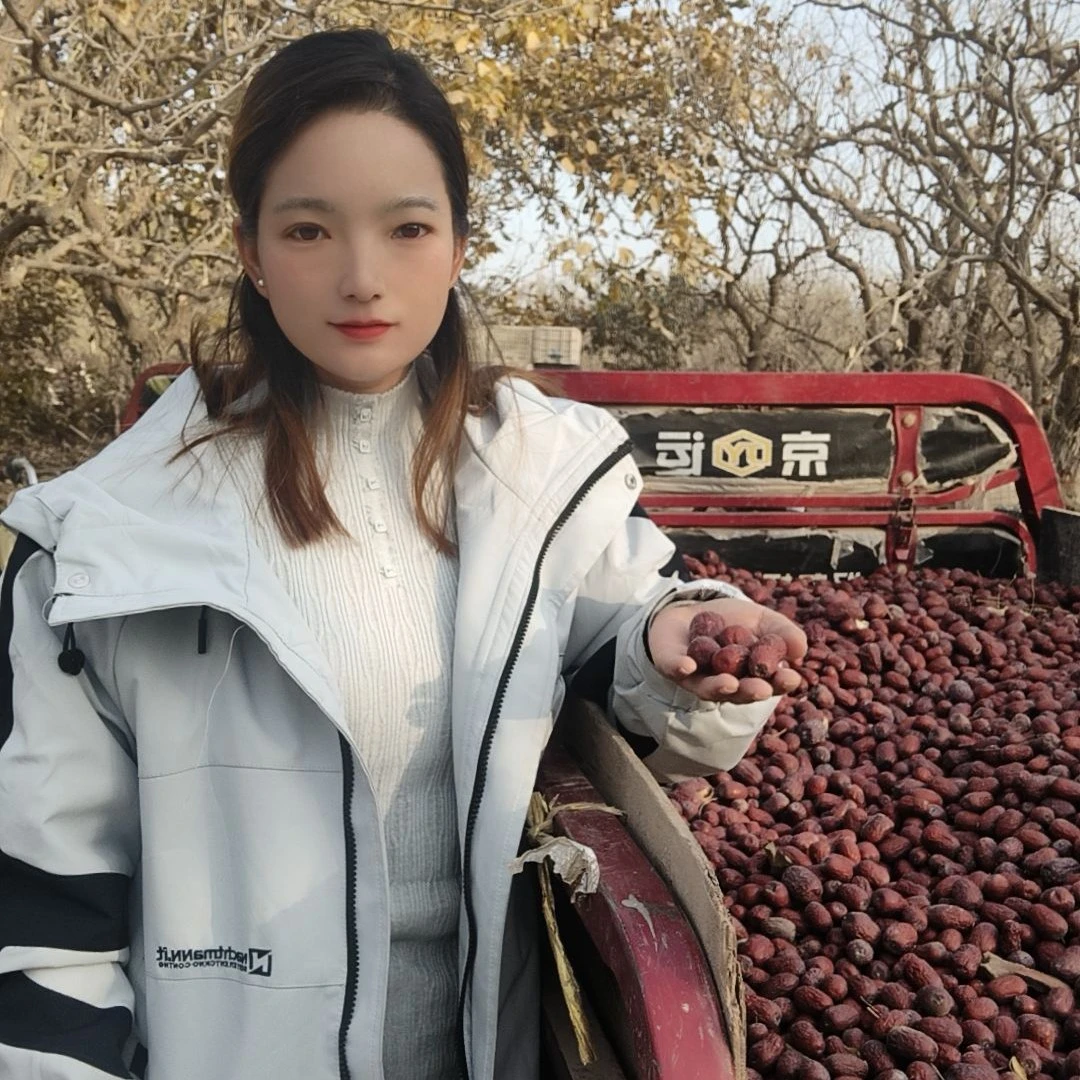 新疆灰枣2025新枣自家果园未清洗正宗吊干灰枣干果通果发货很甜