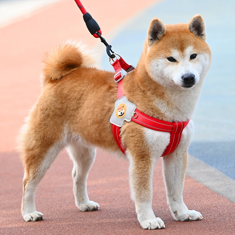 狗狗牵引绳背心式宠物胸背带遛猫遛狗绳中小型柴犬柯基狗链子
