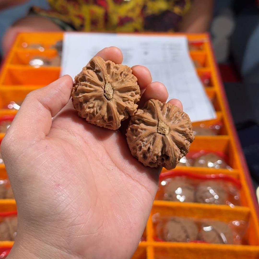 文玩核桃把件218号40-43mm宫灯狮子头