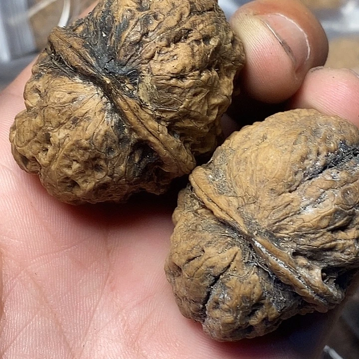 文玩核桃把件云南铁核桃B69