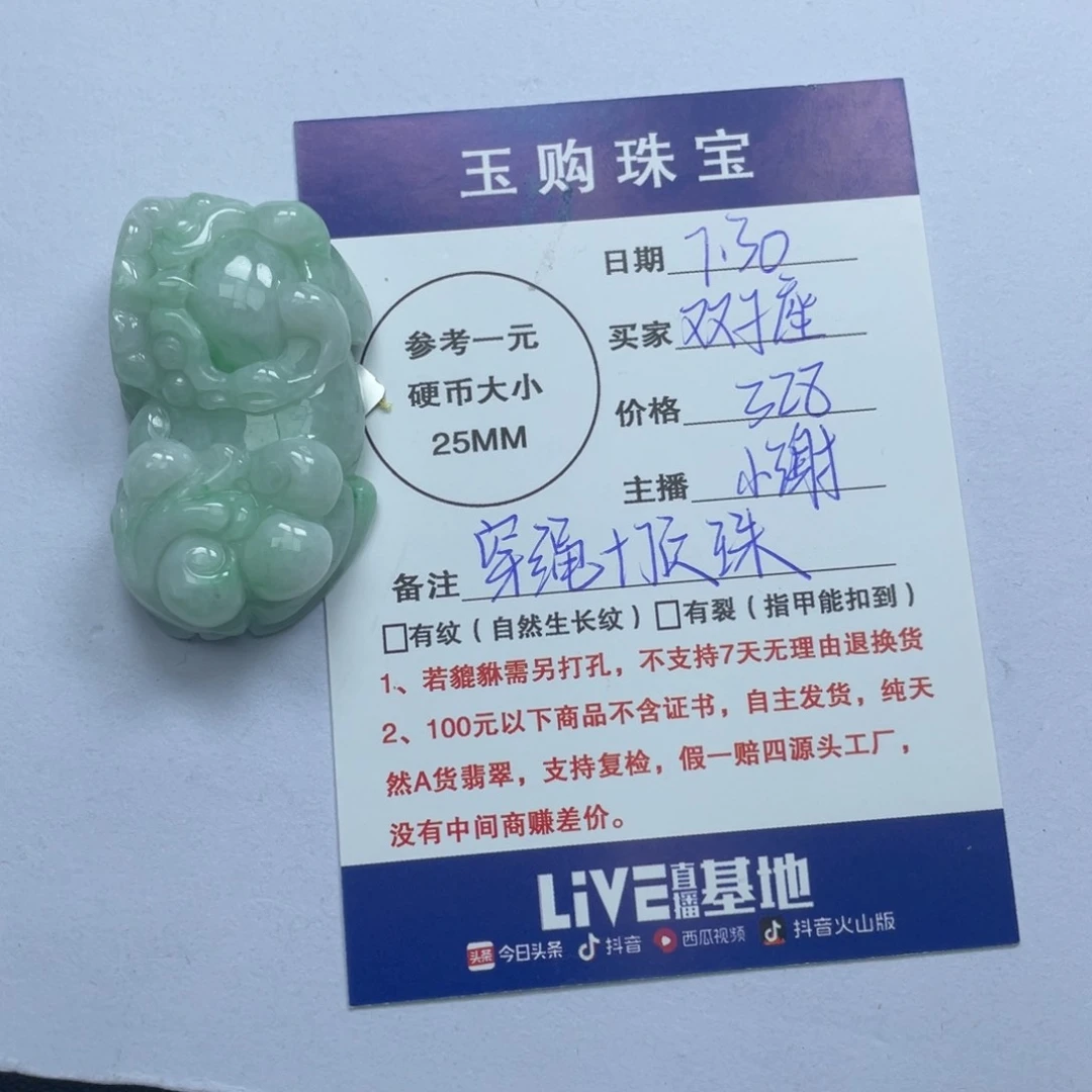 翡翠未镶嵌颈饰双****貔貅