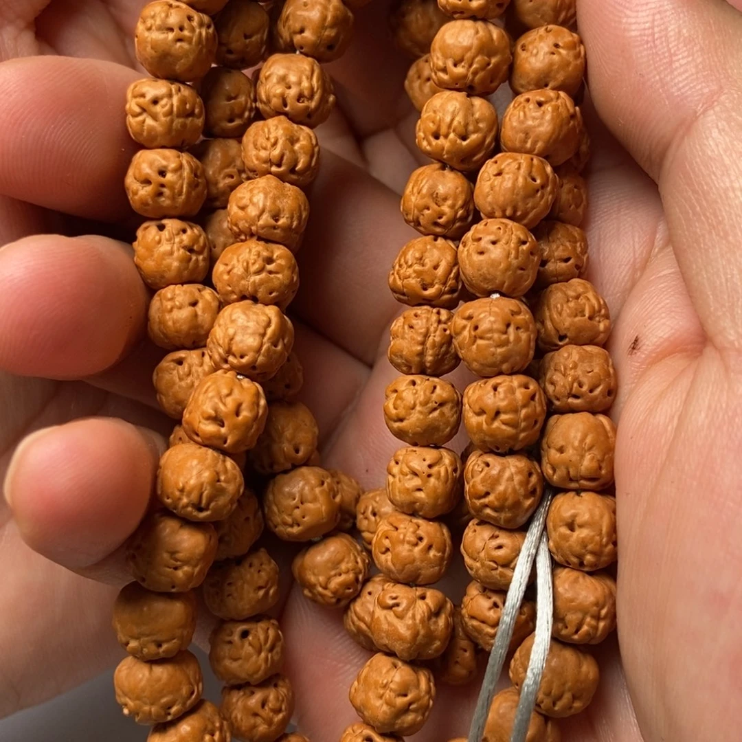 金刚菩提手串藏传菩提金刚