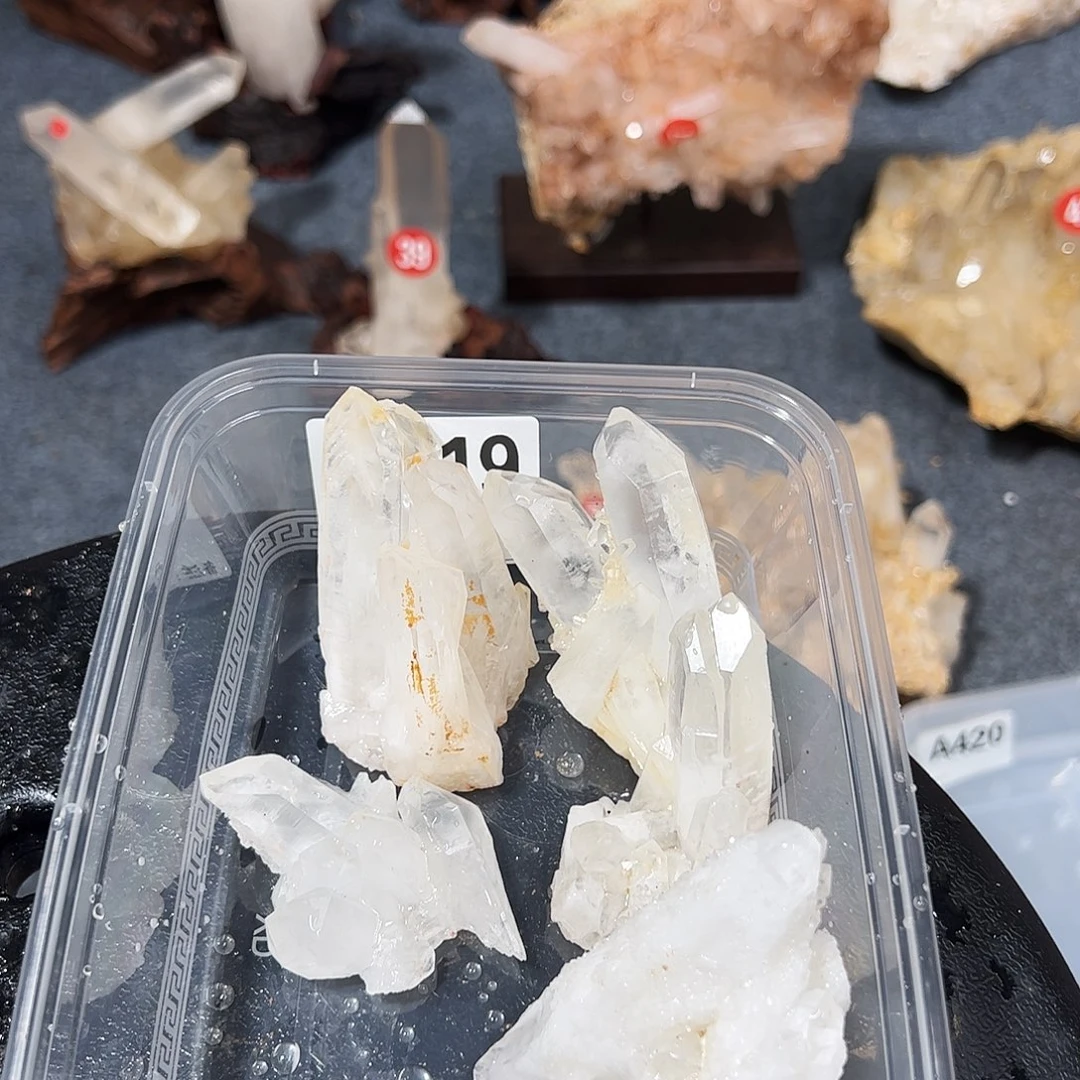 龙****未镶嵌水晶珠宝半成品