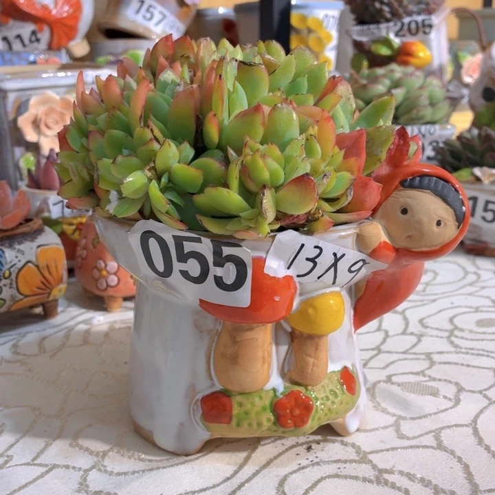 多肉花盆满15包邮