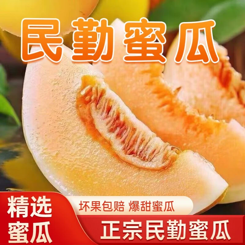 甘肃民勤黄河蜜瓜新鲜水果清甜多汁果肉香甜当季应季