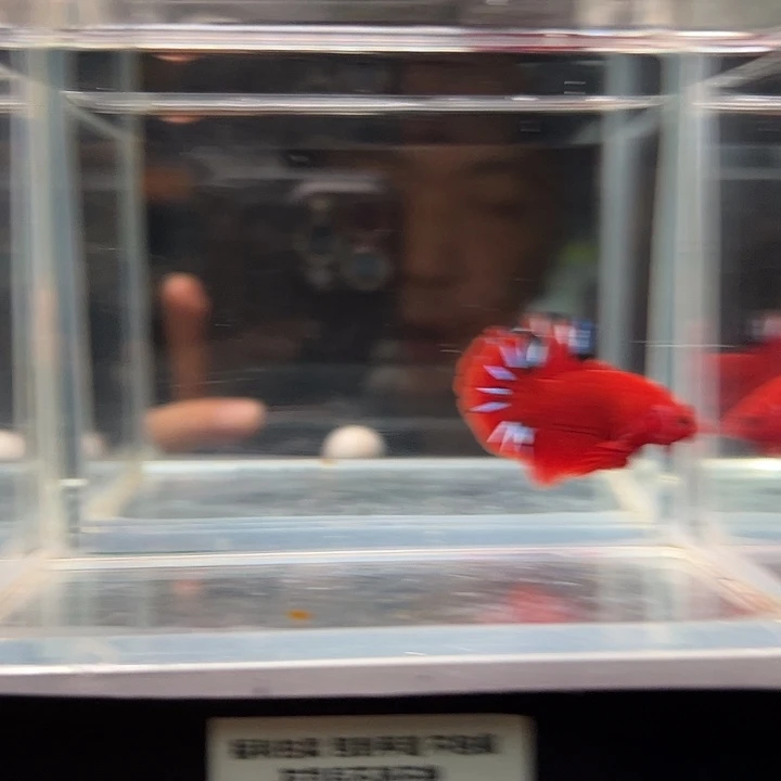 斗鱼满30包邮1日48