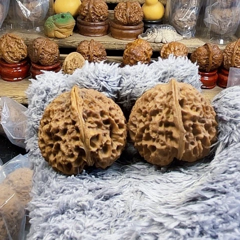 文玩核桃把件铁南疆带彩磕尖42