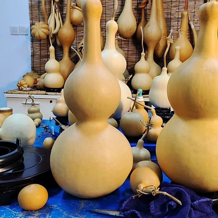 月****弯他他他他他他他他他他他他他