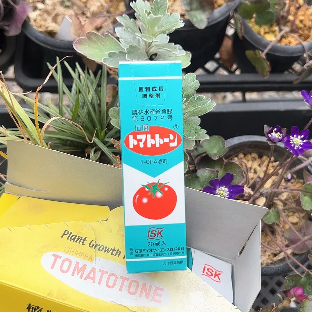 红陶顺丰到付。