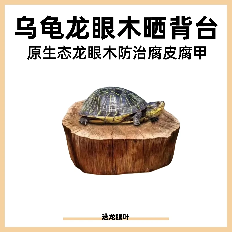 免煮龙眼木龟台正宗龟用龙眼木晒背台乌龟爬坡休息台天然沉木造景