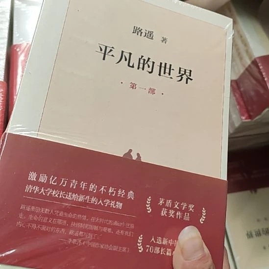 闪购闪购。平凡的世界28