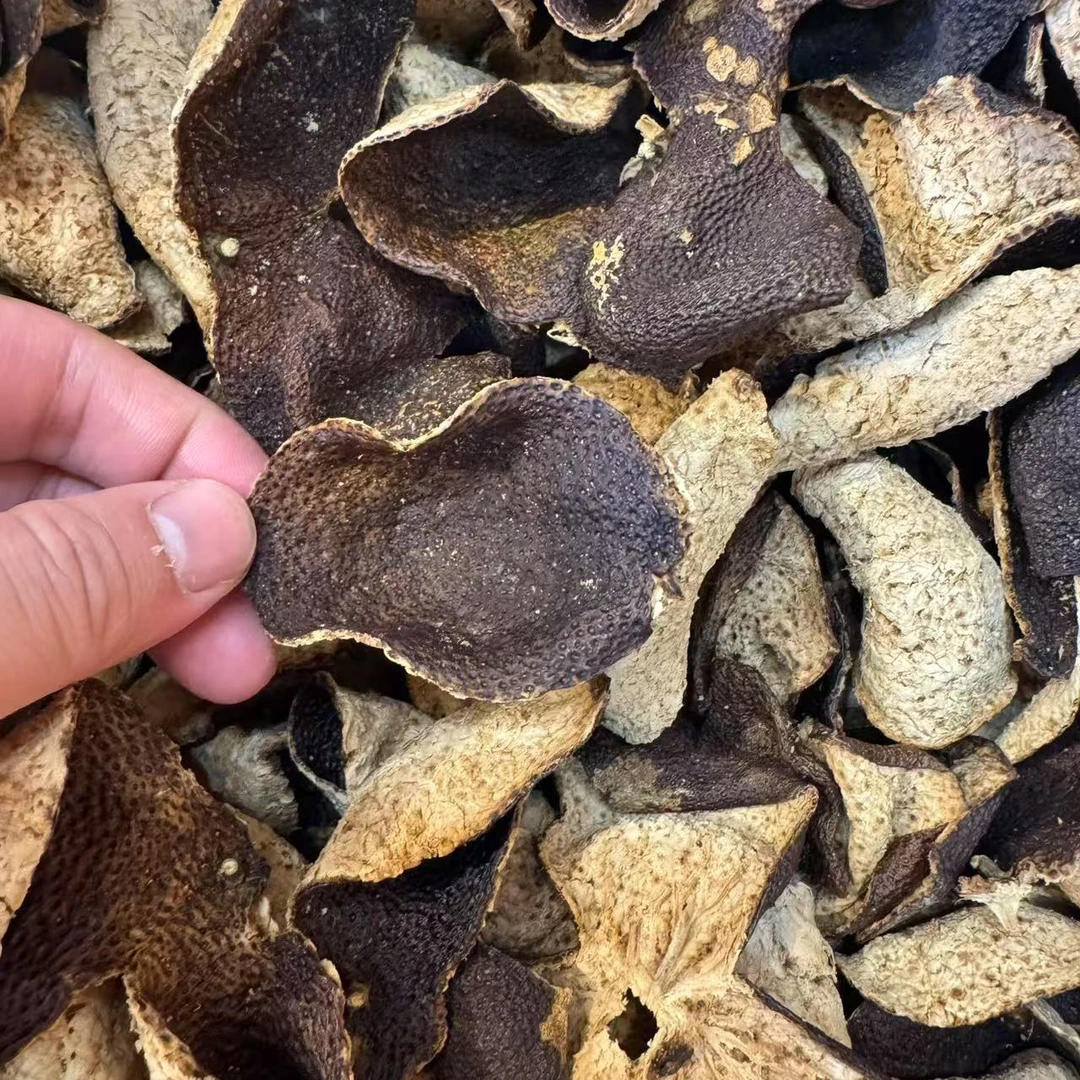 新会陈皮2019茶坑驳枝大红皮断片