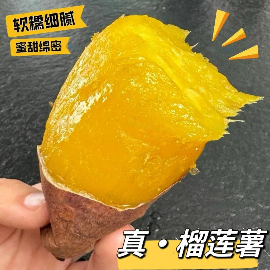 正宗云南榴莲蜜薯金香黄金番薯农家沙地红薯软糯香甜网红地瓜金薯