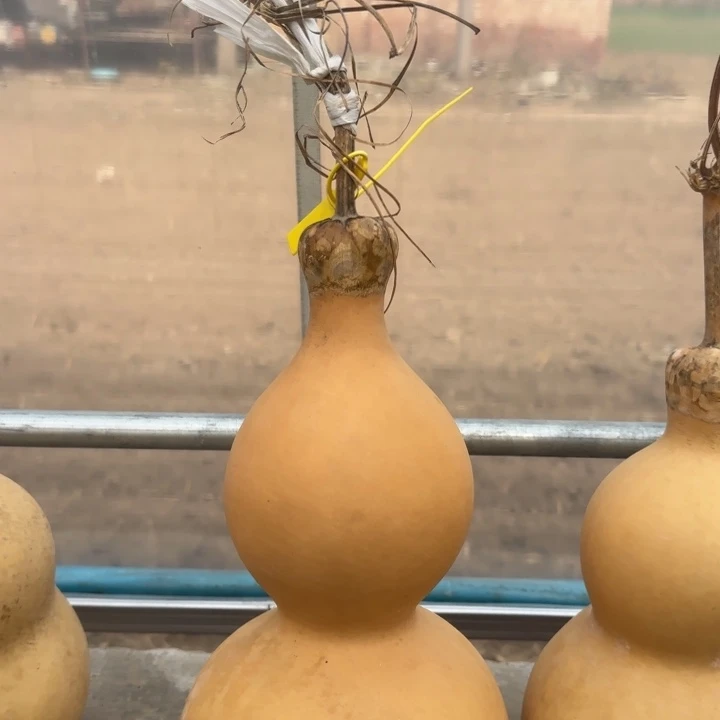 咕噜咕噜互亏路透了