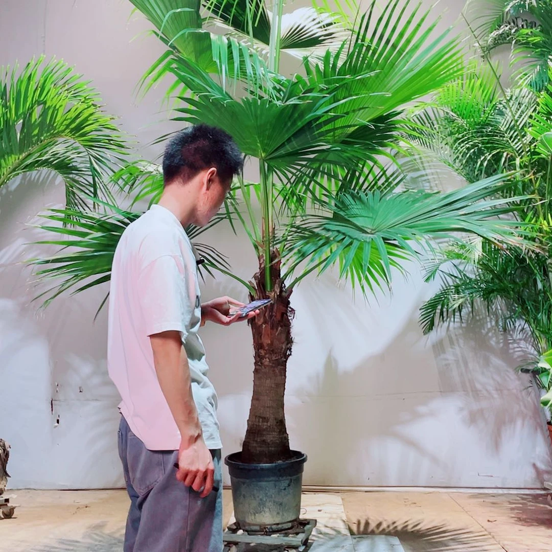 完全开放橙*士5667787778899