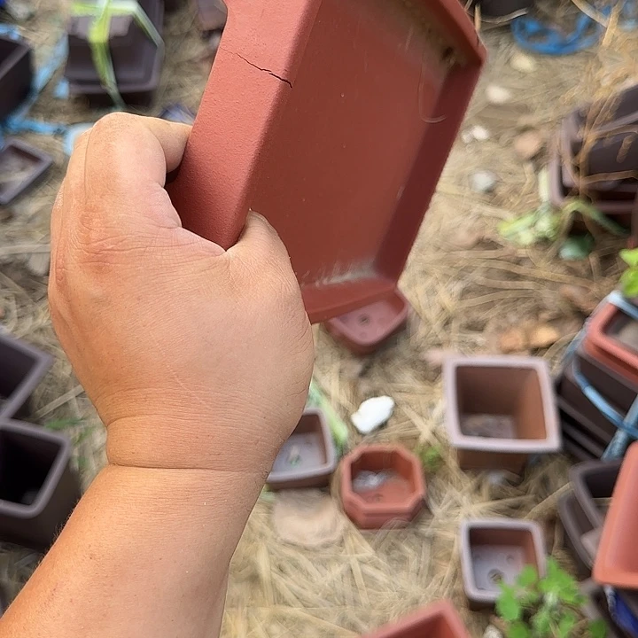 这一段是什么鬼剧情笑拉