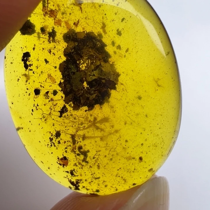 未镶嵌琥珀裸石琥珀虫珀肉马陆