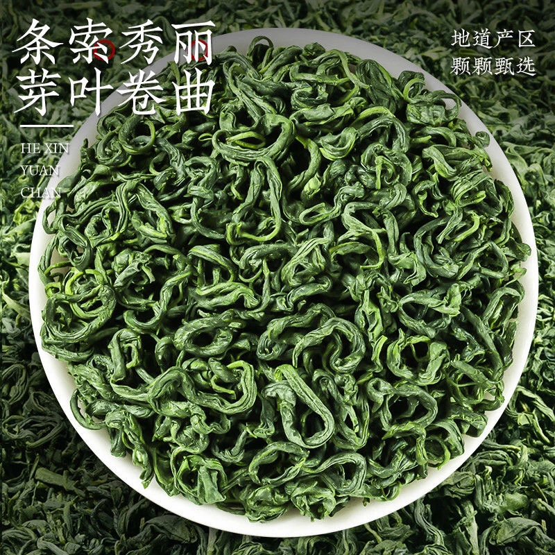 2025高山云雾绿茶毛尖绿茶500克