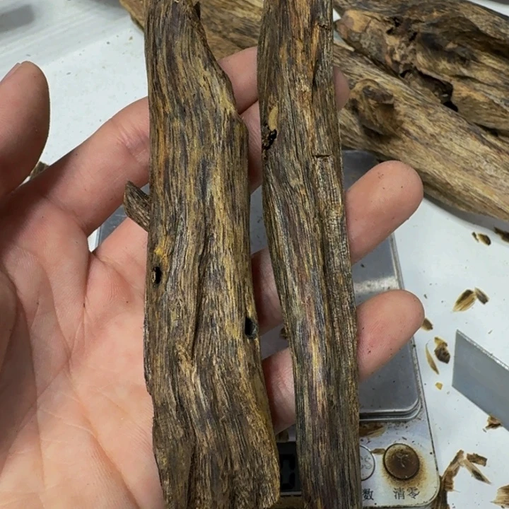 沉香沉香碎屑绿棋树心油