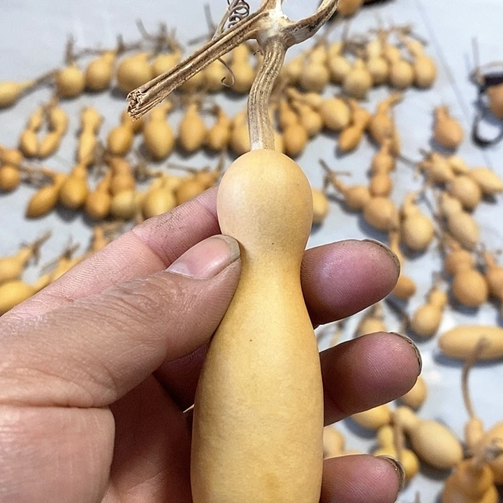 葫芦微瑕小瓶子葫芦