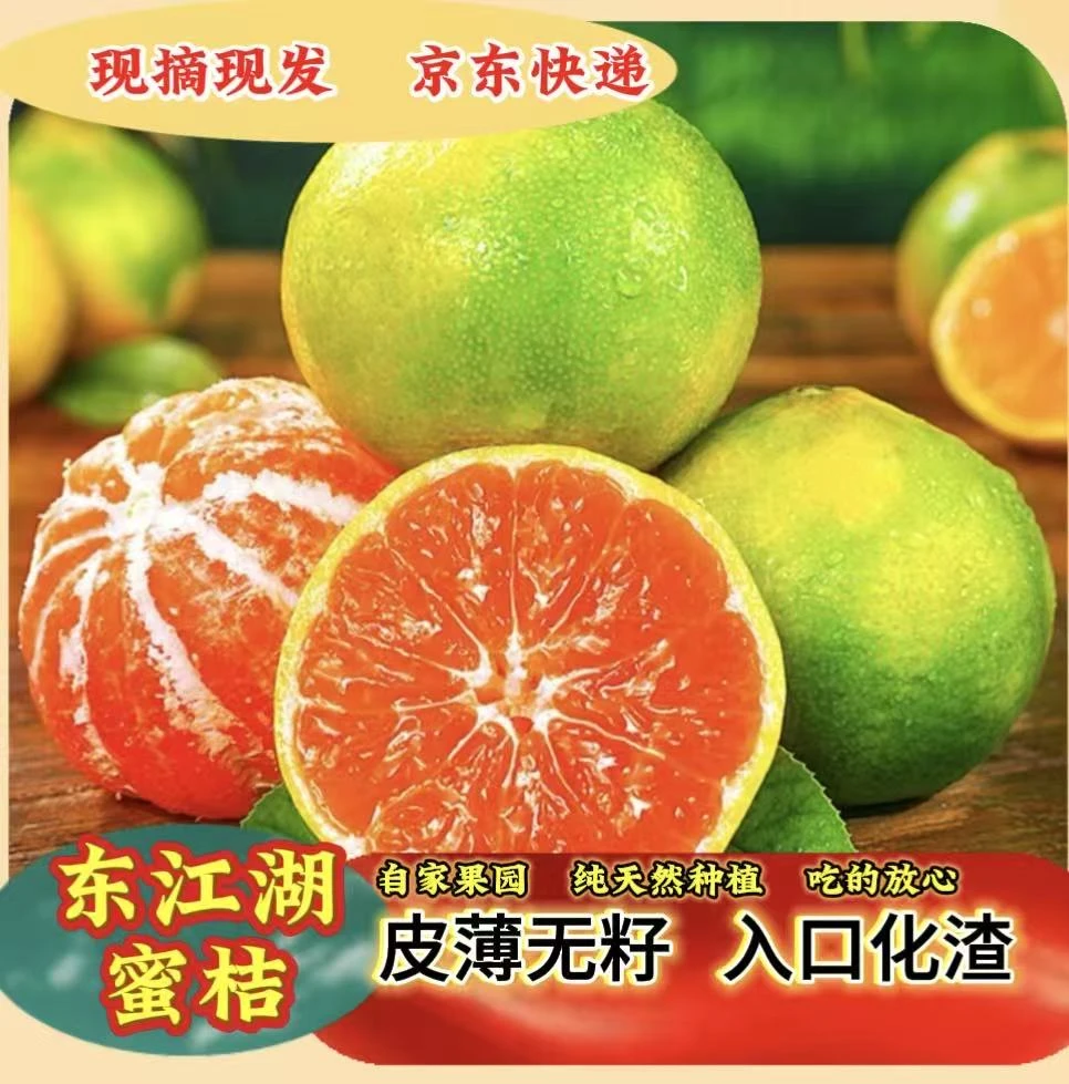 【京东快递】东江湖蜜桔 皮薄肉厚 多汁无籽无渣 新鲜应季水果 现摘