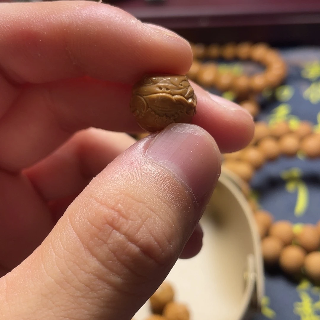 云蝉猴头，烟斗金蟾单籽