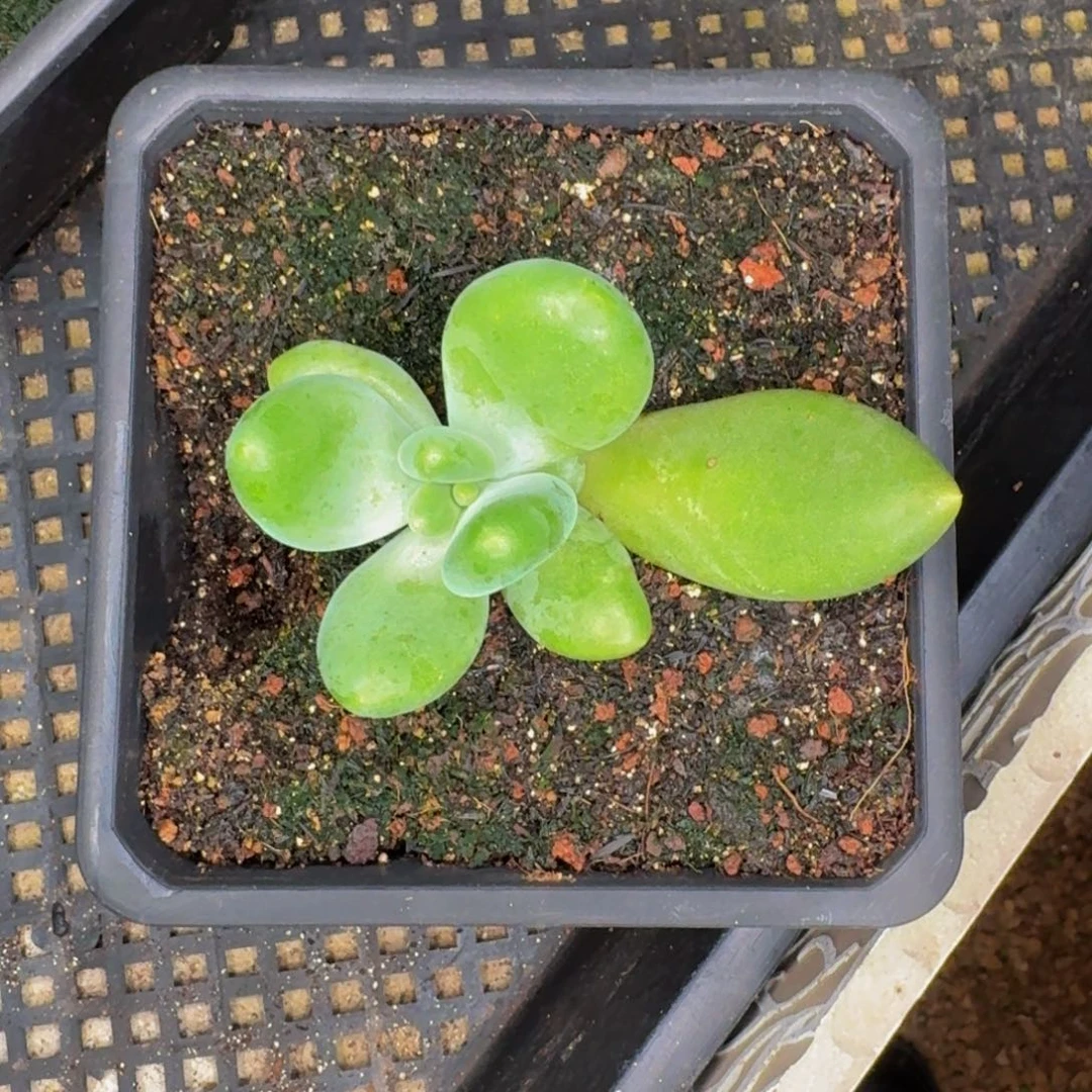 啊啊啊啊啊啊啊啊啊