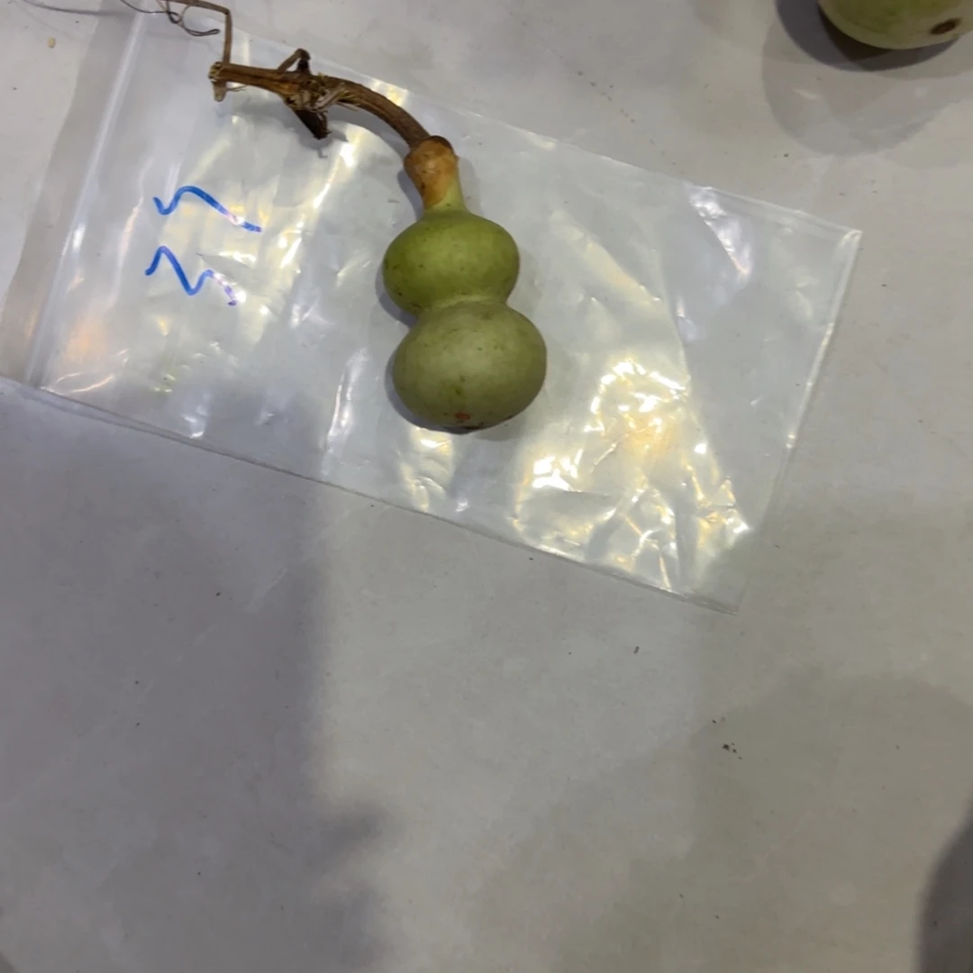 尚***妈青皮不包成青皮不包成