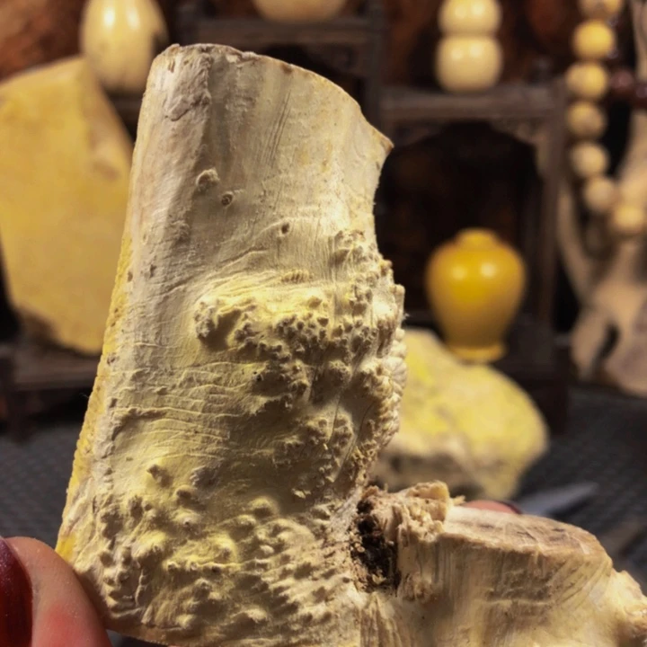 木音*木料木料木料木料