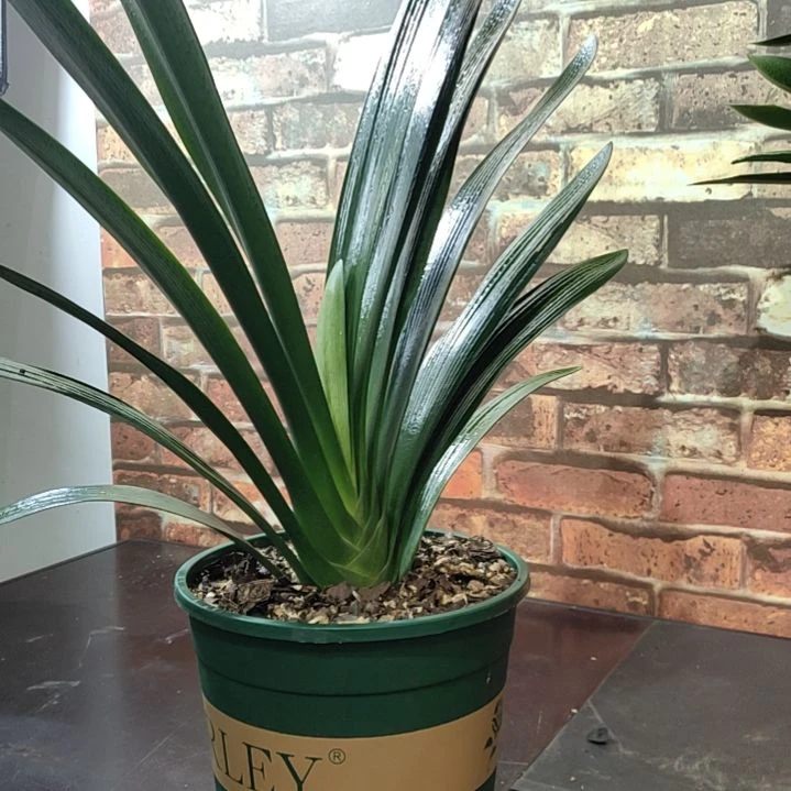 完全开放111111111111