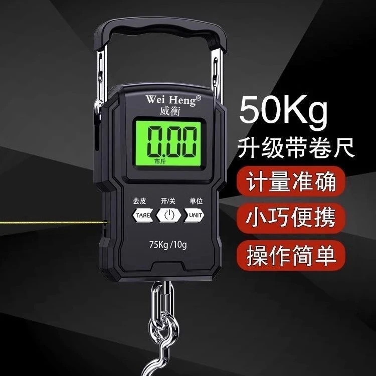 高精度手提电子秤小型便携式家用迷你称鱼器手行李快递弹簧勾小称