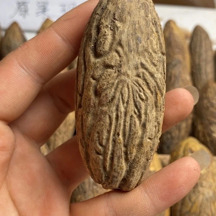 阿***啊把件千眼菩提菩提
