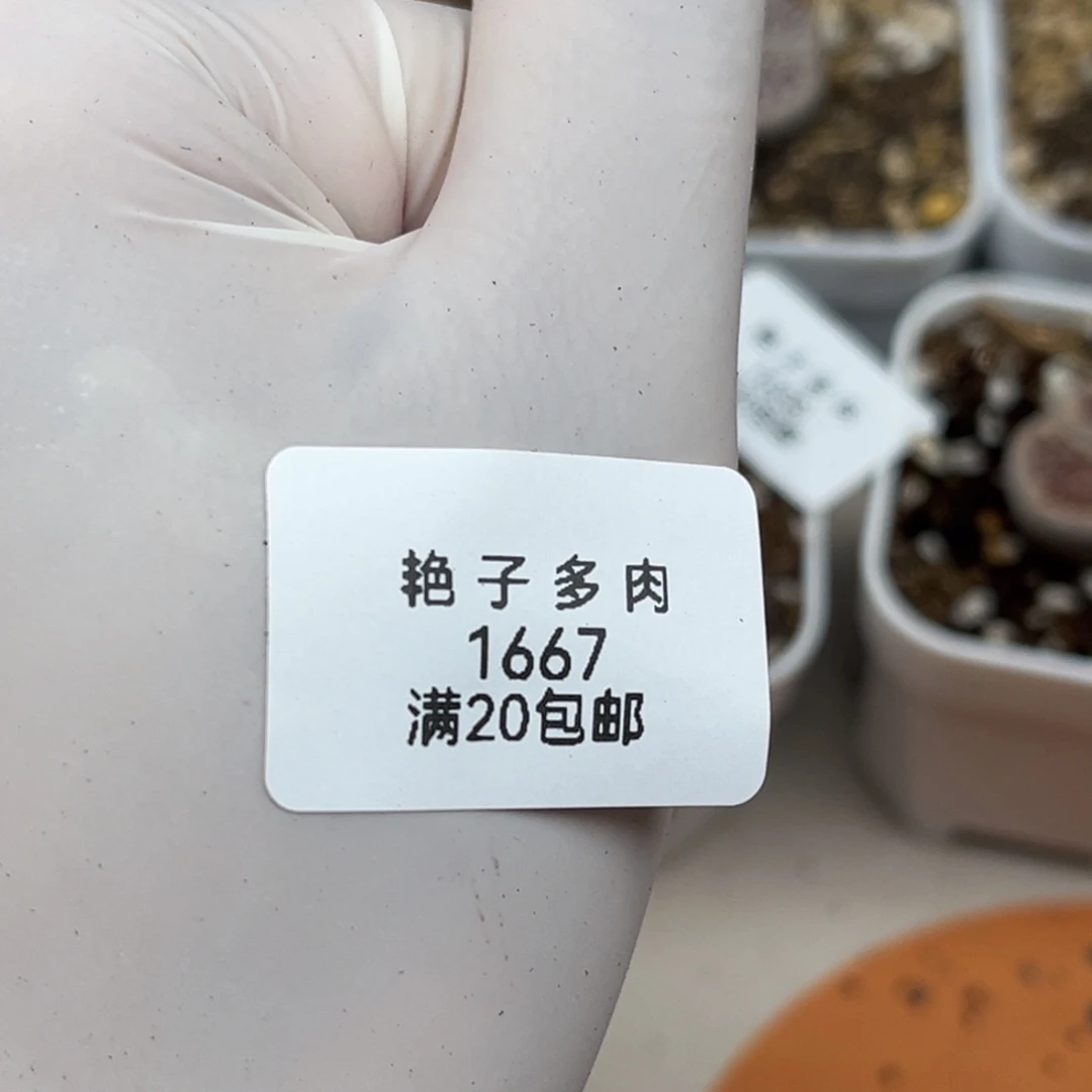 蓝***壳1667号一首好看的冰城