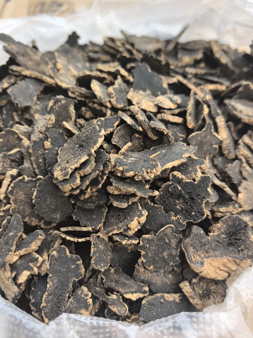 云南深山土特产黑参