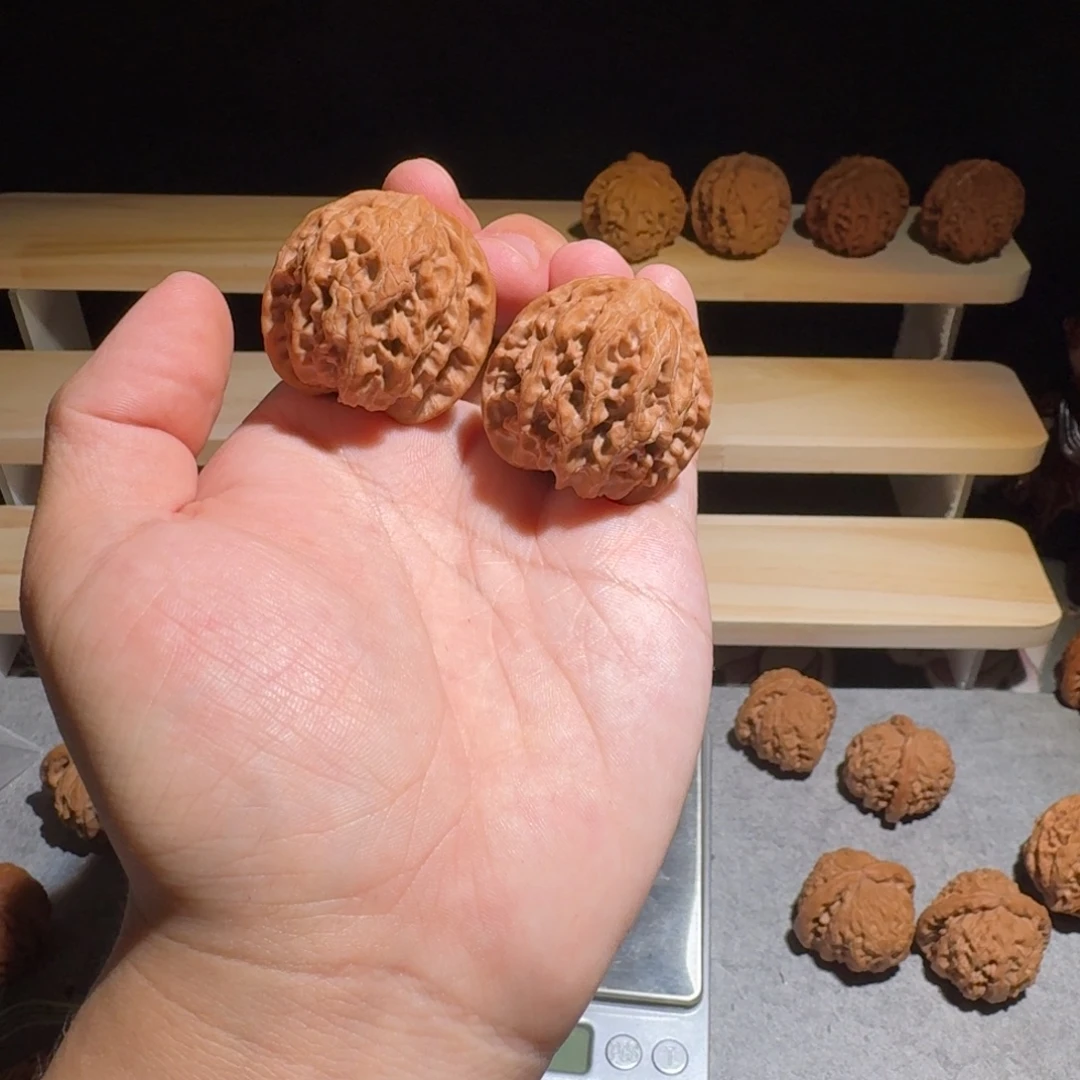 大叶紫檀（黑酸枝木类）