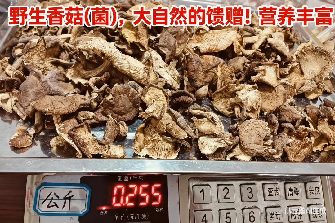 云南丽江永胜深山野生干香菇（香菌）