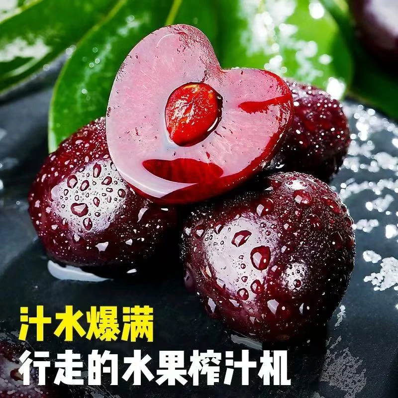 智利车厘子海运拉宾斯单JD至4JD果子净重5斤装脆甜可口