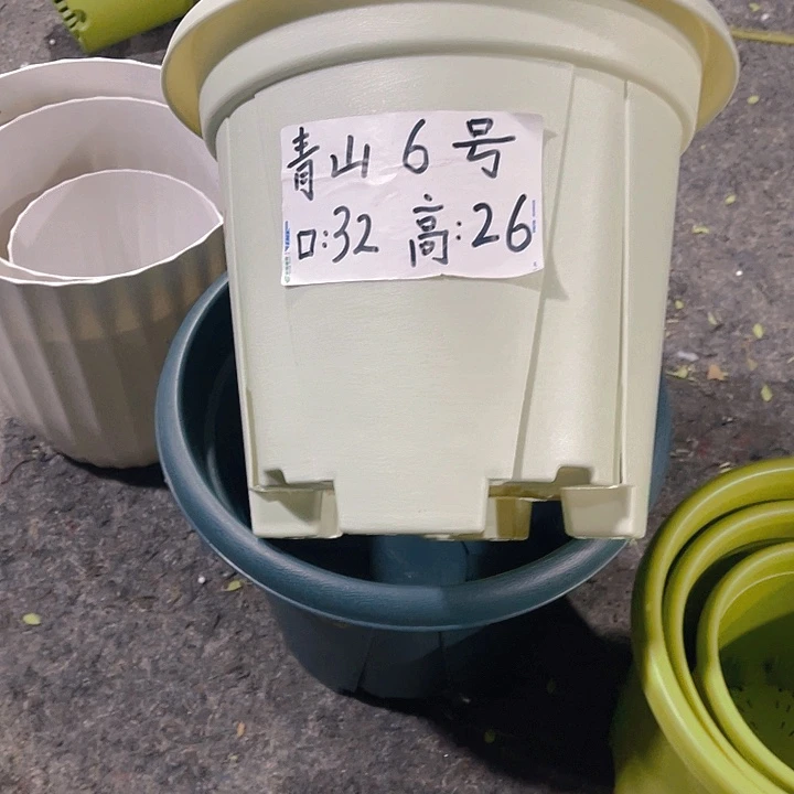 树脂青山6号32口径米色4个