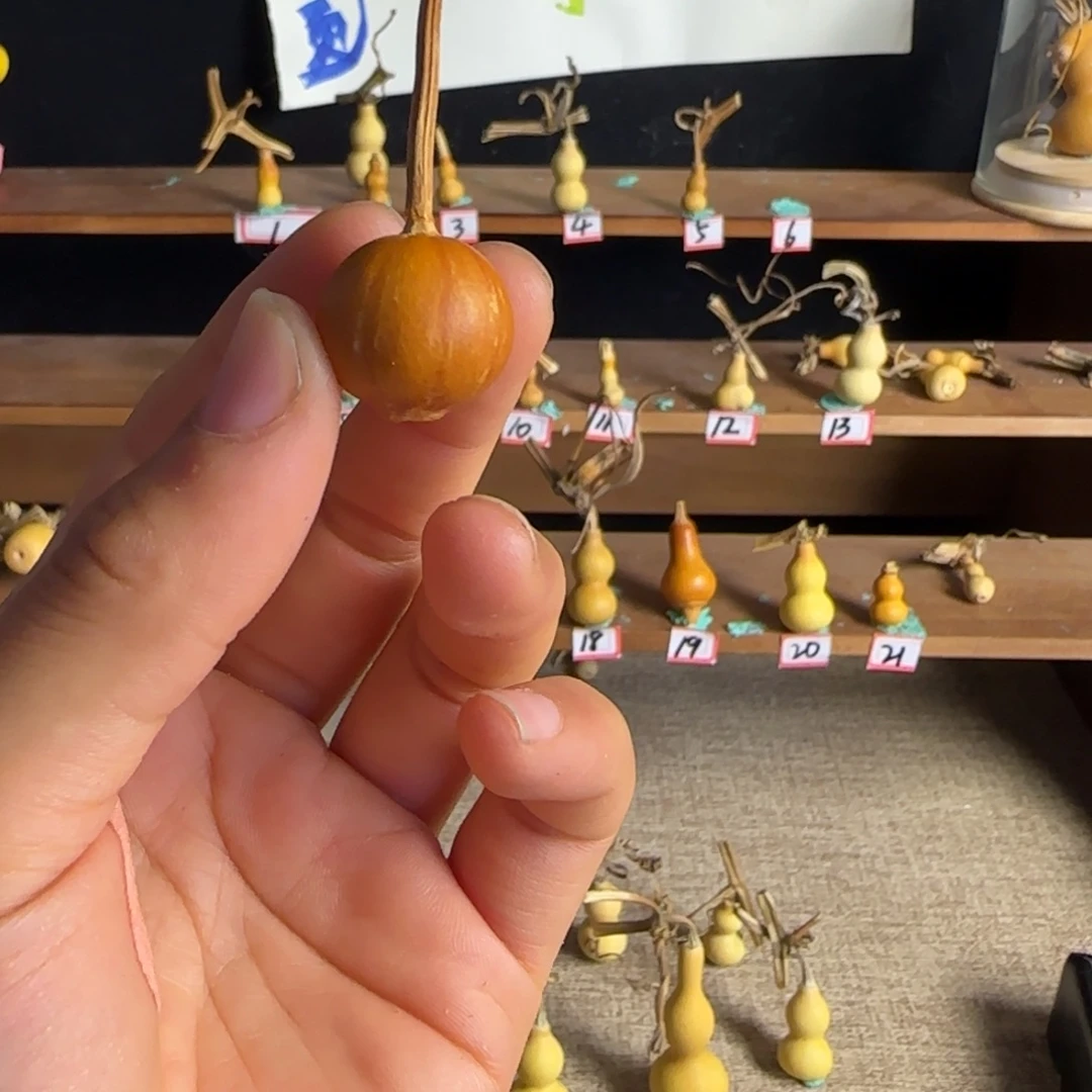 掠***诗打孔不退不换！秒拍秒退拉黑！
